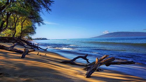 Scenic view of sea against clear blue sky