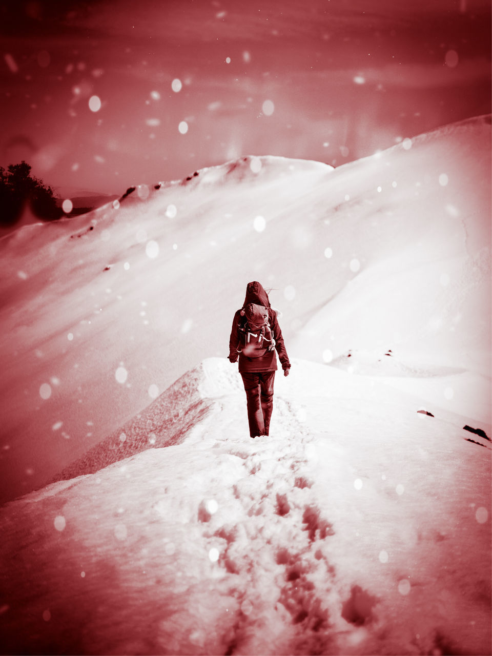 PERSON WALKING ON SNOW FIELD