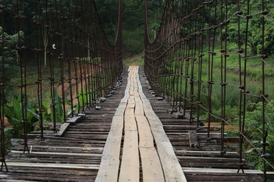 View of footbridge in forest