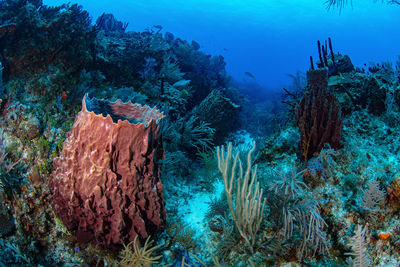 High angle view of sea