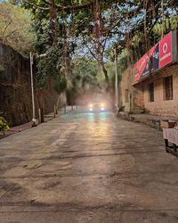 View of road along trees