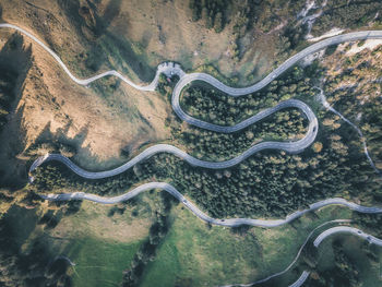 High angle view of starfish on road