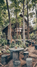 Potted plants outside building