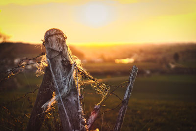 Close-up of wooden post on field against sky during sunset