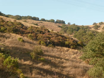 Scenic view of landscape against clear sky