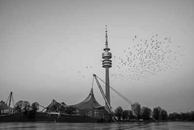 Birds flying in city against clear sky