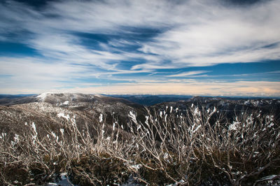 Scenic view of landscape against sky during winter