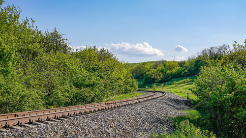 Railroad track amidst trees against sky