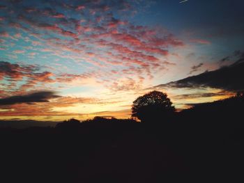 Silhouette of trees at sunset