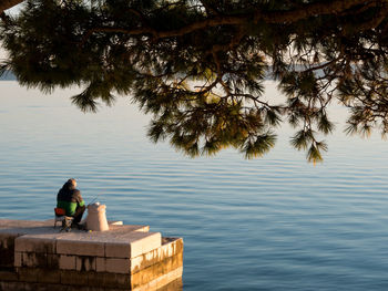 Rear view of woman sitting by lake