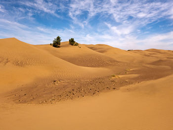 Scenic view of desert against sky