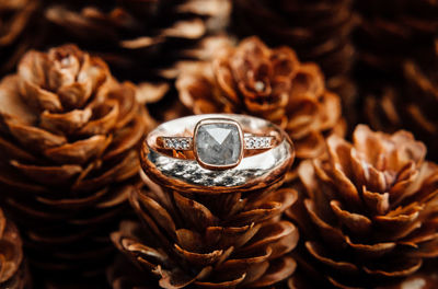 Close-up of wedding rings on pine cone