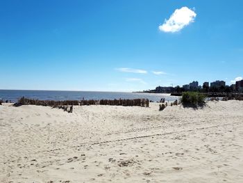 Scenic view of beach against blue sky