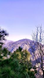 Scenic view of landscape against clear blue sky