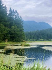 Scenic view of lake against sky