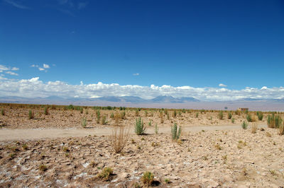 Scenic view of arid landscape against sky