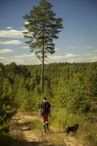 Rear view of man standing on field against sky