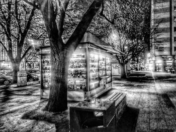 Trees by illuminated street in city at night