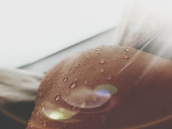 Close-up of wet glass on table