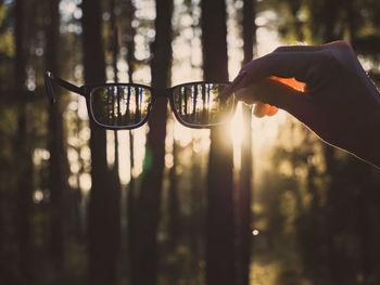 Close-up of hand holding drink against trees