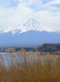 The iconic active volcano in japan - fuji mount in a cloudy day. view from lake kawaguchiko