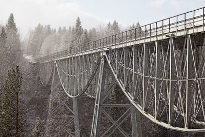 View of bridge in forest