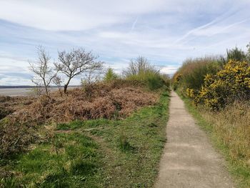 Plants by trees against sky