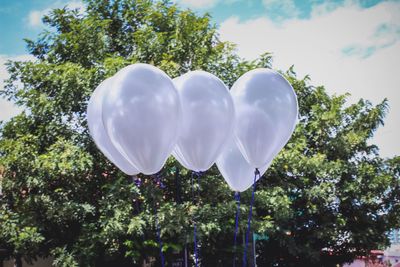 White balloons against trees