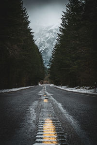 Road amidst trees