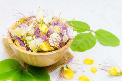 Close-up of fresh purple flowering plant on table