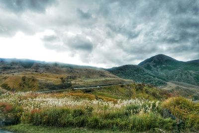 Scenic view of grassy field and mountains against cloudy sky