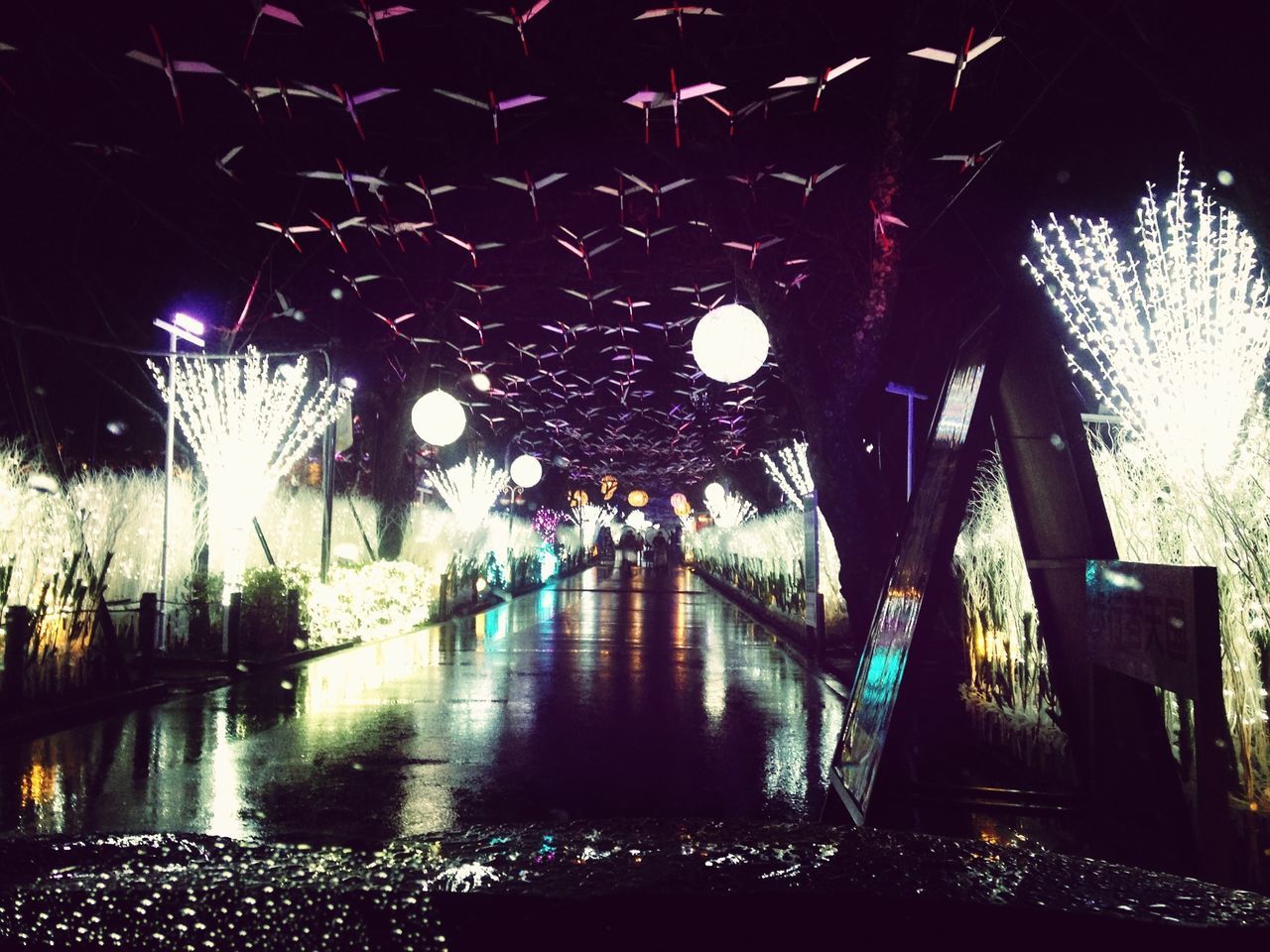 water, illuminated, built structure, architecture, night, reflection, indoors, bridge - man made structure, no people, lighting equipment, building exterior, connection, railing, tree, nature, river, plant, sunlight