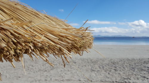 Cropped image of thatched roof at beach against sky