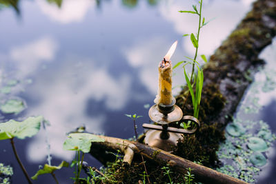 Burning candle in enchanted lake. occult, esoteric concept.