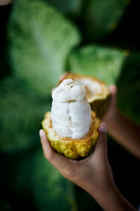 Cropped hand holding ice cream cone