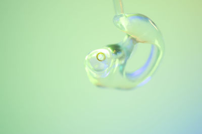 Close-up of water drop