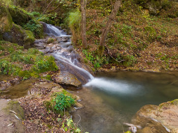 Stream flowing through rocks in forest