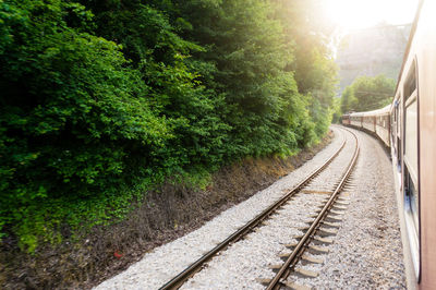 View of railway tracks along trees