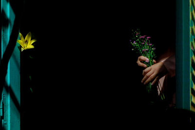 Woman holding flower pot against black background