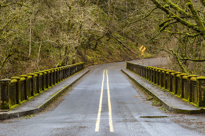 Road amidst trees against sky