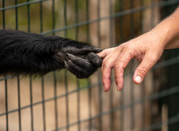 Midsection of person hand on finger outdoors