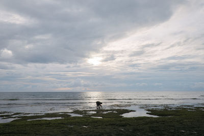 Man standing on beach against sky