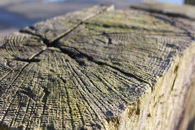 Close-up of wooden object