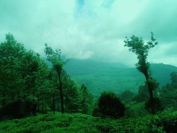 Scenic view of landscape against cloudy sky