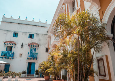 Low angle view of palm trees by building against sky