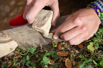 Faceless man crashing shells of almond nuts with stone on wooden plank