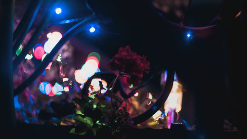 Group of people at nightclub