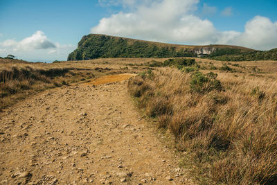 Dirt trail going up towards a cliff on top of the fortaleza canyon near cambara do sul. brazil.