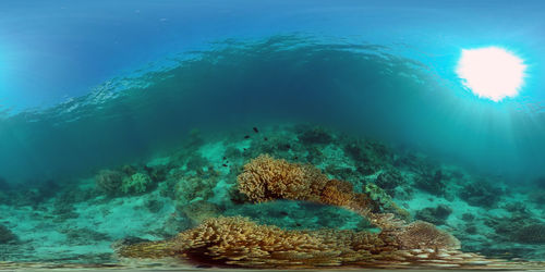 water