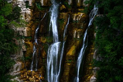 View of waterfall in forest